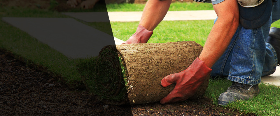Moscow Landscapers